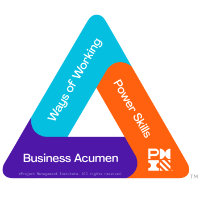 Talent Triangle